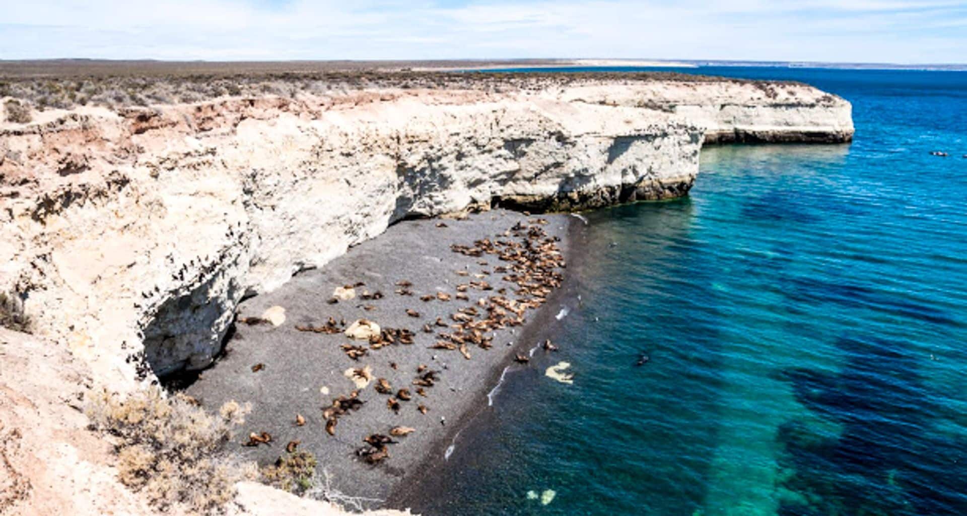 A colony of sea lions rests on a rocky beach at the base of white cliffs beside clear turquoise ocean water under a partly cloudy sky, offering an unforgettable Wildlife Watching experience reminiscent of Peninsula Valdes.