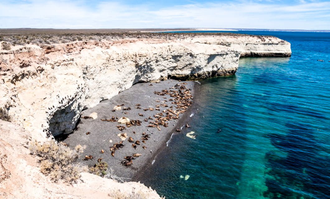 Experience wildlife watching on Peninsula Valdes with a panoramic view of rocky coastal cliffs, turquoise blue water, and a black sand beach where sea lions rest under a partly cloudy sky.