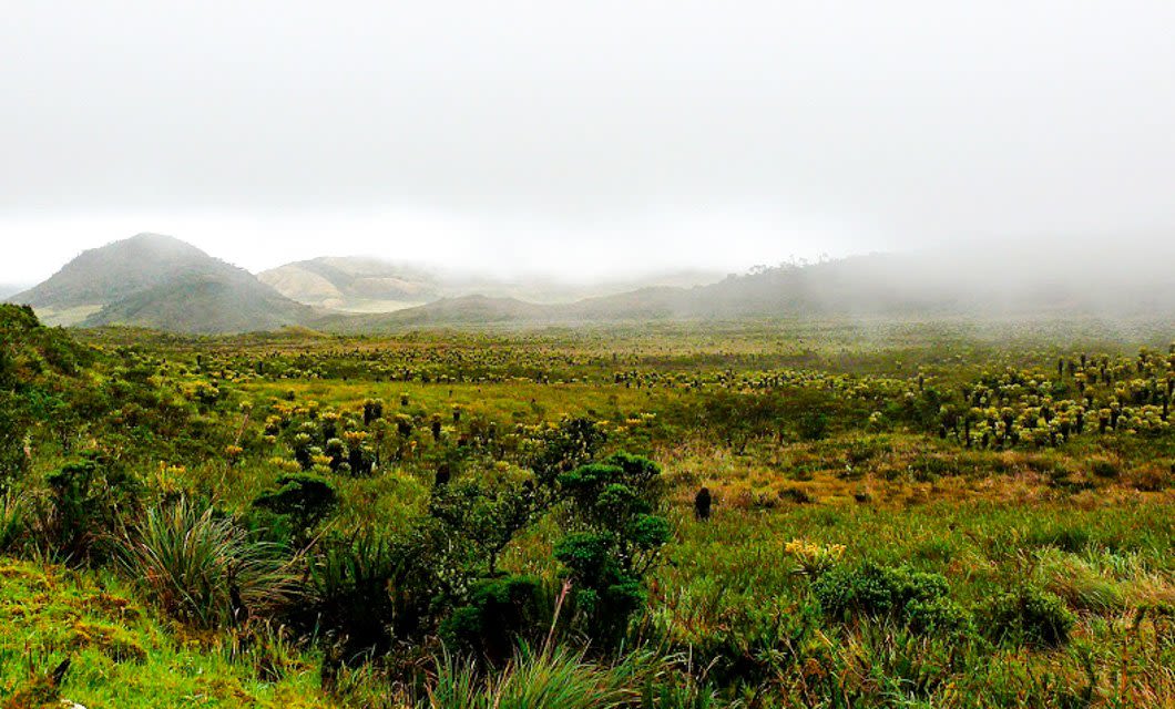 A misty landscape with rolling hills and a lush green páramo ecosystem, this scene evokes the tranquil beauty near the San Agustín Ruins, perfect for an unforgettable Colombia Archaeology Tour beneath a cloudy sky.