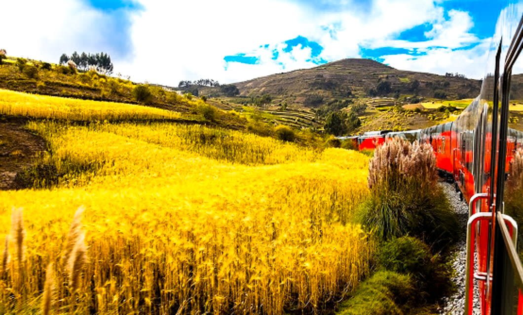A red train embarks on a picturesque train journey through a vibrant yellow field with rolling hills, greenery, and a blue sky. This scenic rural landscape evokes the beauty of traveling from Guayaquil to Quito in Ecuador.