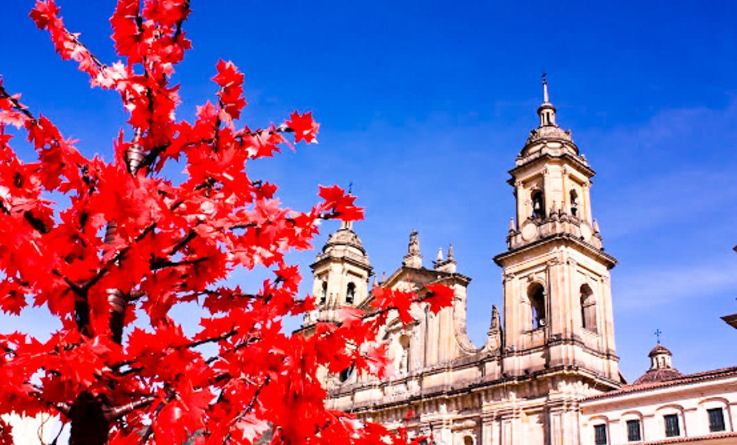 A tree with bright red leaves stands in front of a historic cathedral with two bell towers under a clear blue sky, evoking the vibrant spirit of a Colombia Coffee adventure.