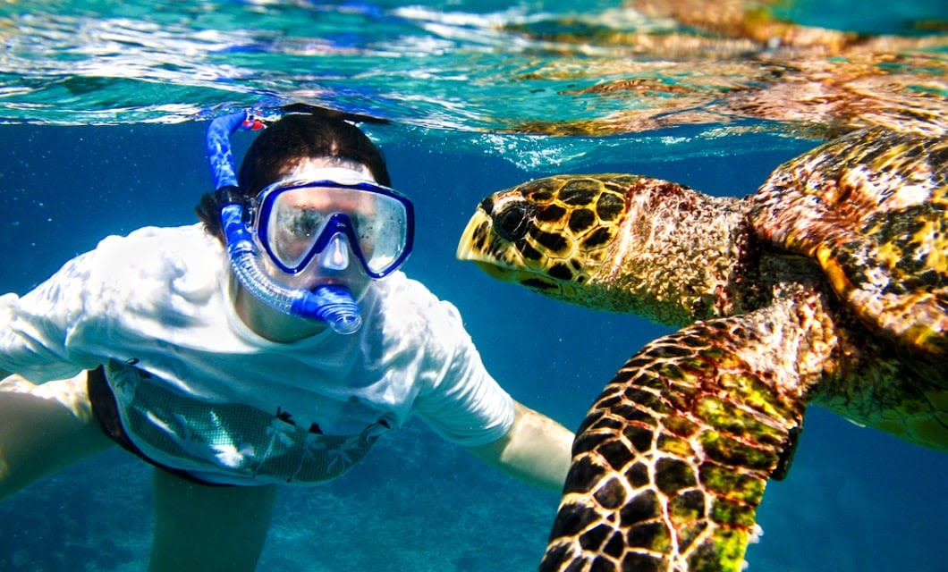 A snorkeler wearing a mask and snorkel swims underwater next to a sea turtle in clear blue water—a breathtaking moment often experienced on a Luxury Galapagos Cruise. The snorkeler and the turtle are facing each other closely.