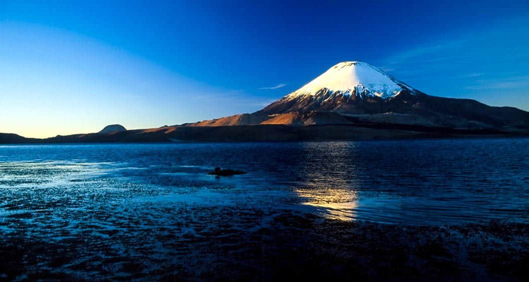 Snow-capped mountain under a deep blue sky, reflected in a calm lake at sunset along the Lake Crossing route from Argentina to Chile, with a dark shoreline in the foreground.