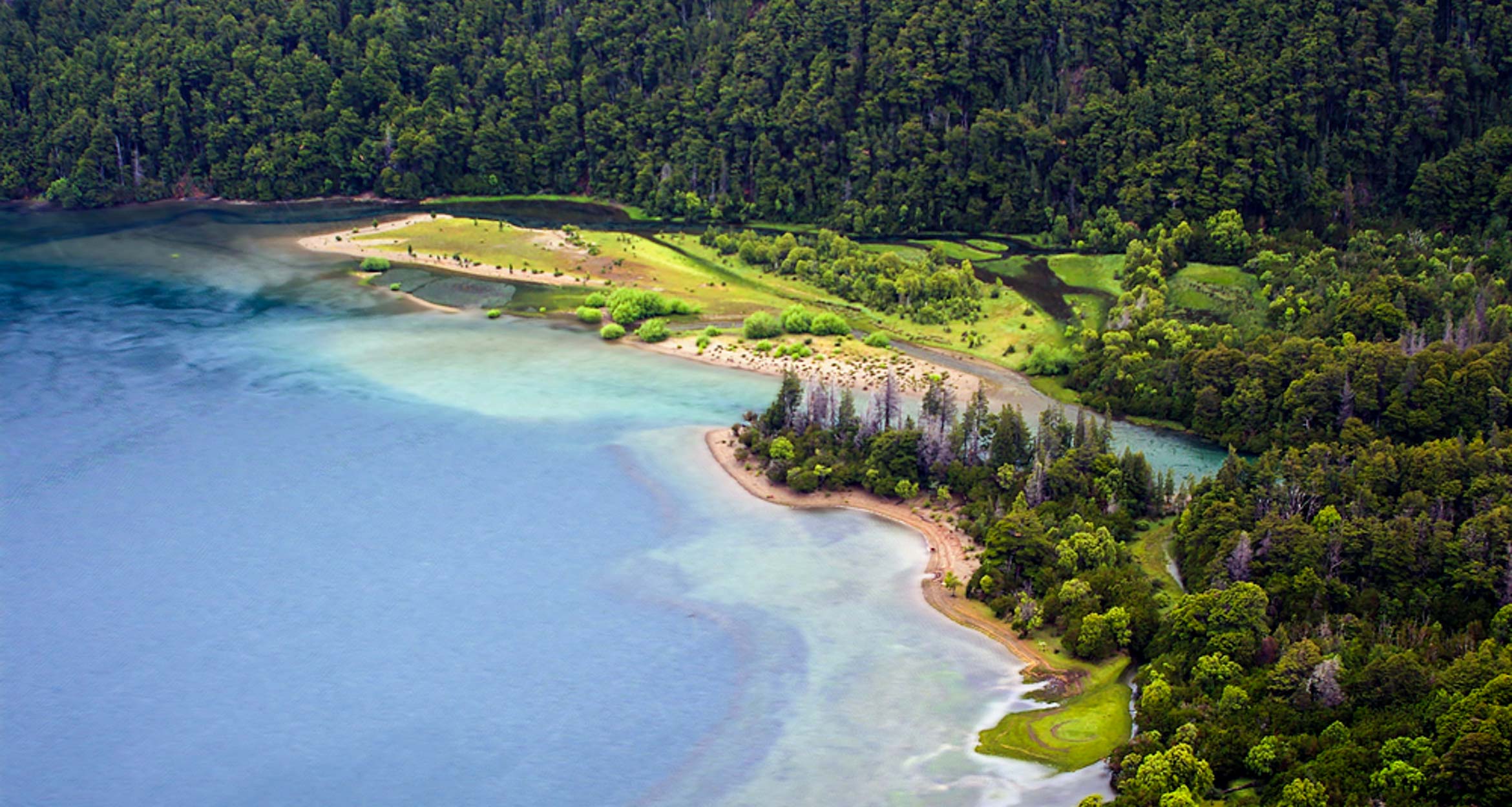 Aerial view of a lush green forest bordering a curving shoreline with turquoise waters, sandy beaches, and grassy patches. The untouched landscape evokes the wild beauty of Patagonia—perfect for pairing with a scenic La Trochita train tour.