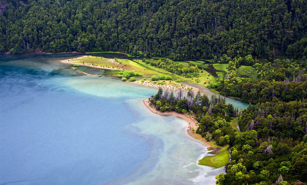 A lush green forest borders a shoreline with clear blue water and sandy beaches, much like the scenic views along a Patagonia Train tour, where dense trees contrast beautifully with the bright, shallow water along the coast.