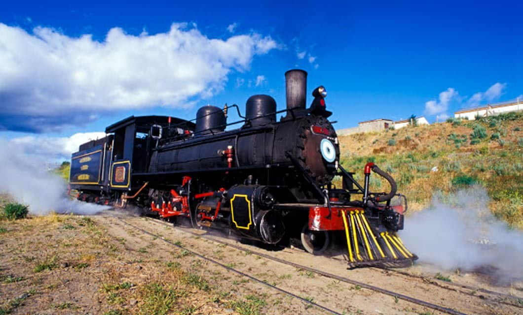 A black vintage steam locomotive, known as La Trochita, travels on railroad tracks through a grassy landscape under a bright blue sky with scattered clouds, steam billowing from its sides—an iconic sight of the Patagonia Train Tour.