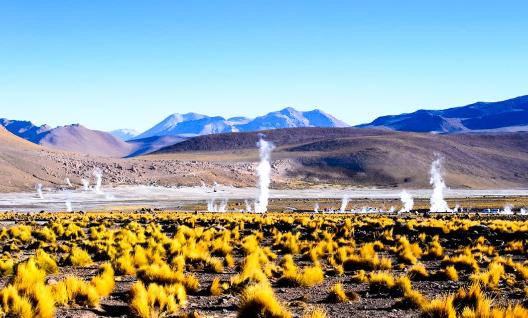 A high-altitude landscape in the Atacama Desert with yellow grass tufts, steam rising from geysers, and distant purple-blue mountains under a clear blue sky.