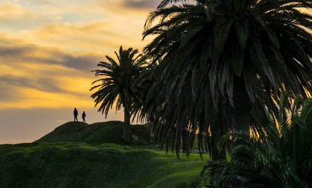 Two people stand on a grassy hill at sunset, silhouetted against a colorful sky with palm trees—capturing the tranquil beauty found on an Uruguay Tour near Montevideo or among the famed Estancias of Uruguay.