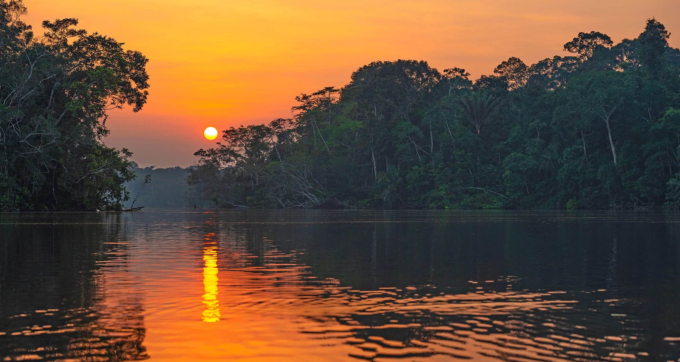 Sunset over a river in the Peruvian Amazon, surrounded by dense green rainforest, with the orange sun reflecting on calm water and trees silhouetted against the colorful sky of Manu National Park.