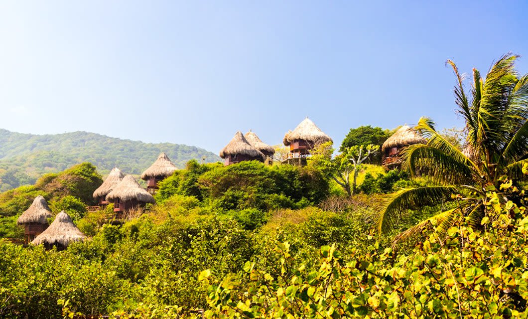 Thatched-roof huts are nestled among lush green foliage on a hillside under a clear blue sky in Colombia, with a palm tree in the foreground, perfect for a scenic botanical tour.