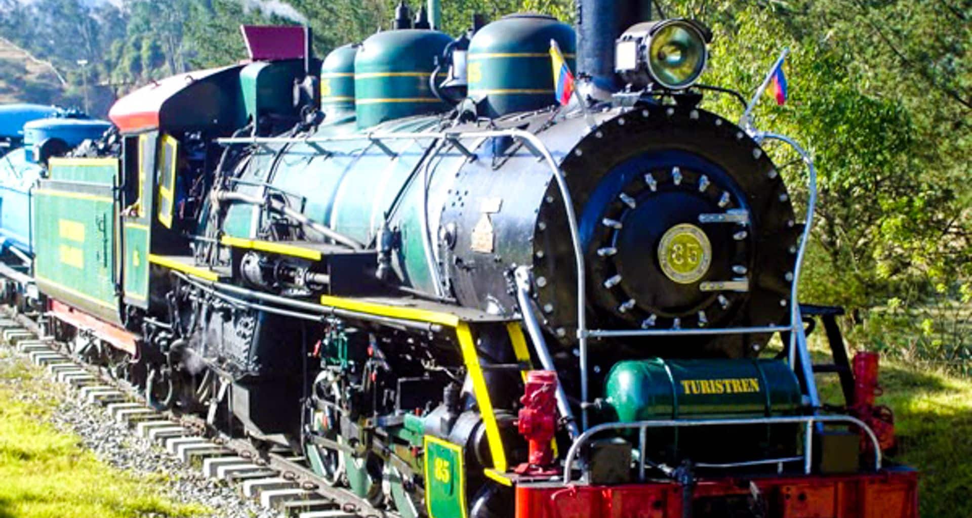 A vintage green steam locomotive with yellow and black accents travels on railroad tracks through a grassy, wooded area under bright sunlight, evoking the charm of a Colombia Train Tour near Bogota or Zipaquira.