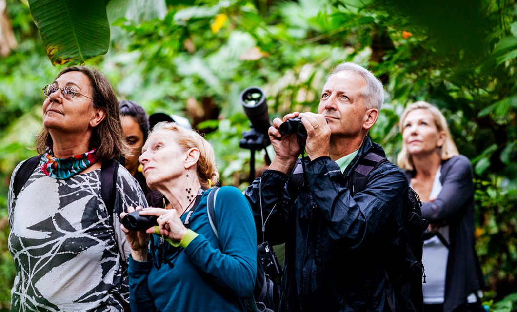 A group of people with binoculars look up while birdwatching in the lush Ecuadorian Rainforest. They appear focused and interested, surrounded by dense foliage on their Amazon Explorer adventure.
