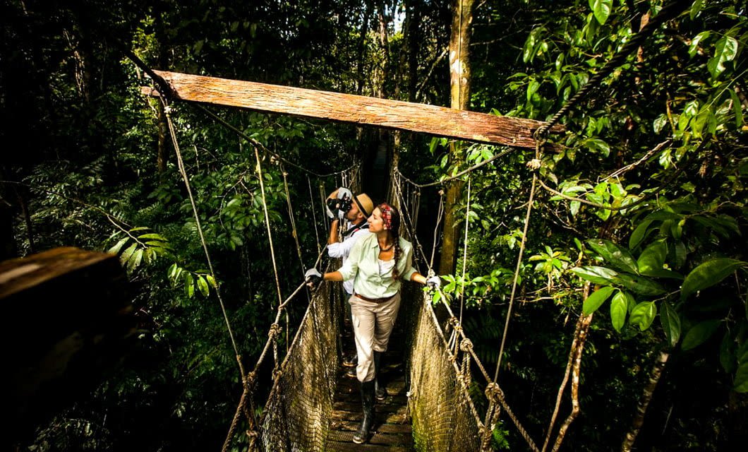 Two people walk on a narrow rope bridge high in the lush Amazon rainforest. One looks up, smiling, while the other captures the scenery—just one of many adventures possible during an unforgettable Amazon cruise. Sunlight filters through dense foliage.