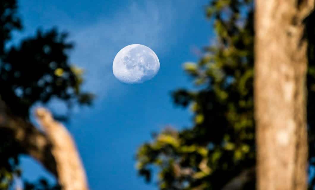 The moon is visible in a clear blue sky, framed by blurred tree branches and leaves in the foreground, capturing the serene beauty often experienced on an Aria Amazon Cruise through the Peruvian Amazon.