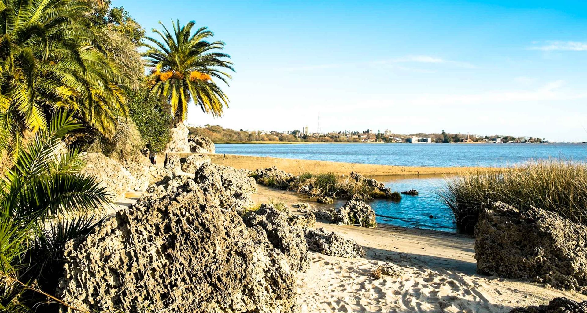 A sandy beach with large rocky formations, palm trees, and grass next to calm blue water under a bright, clear sky. Buildings of Punta del Este are visible in the far distance across the water.