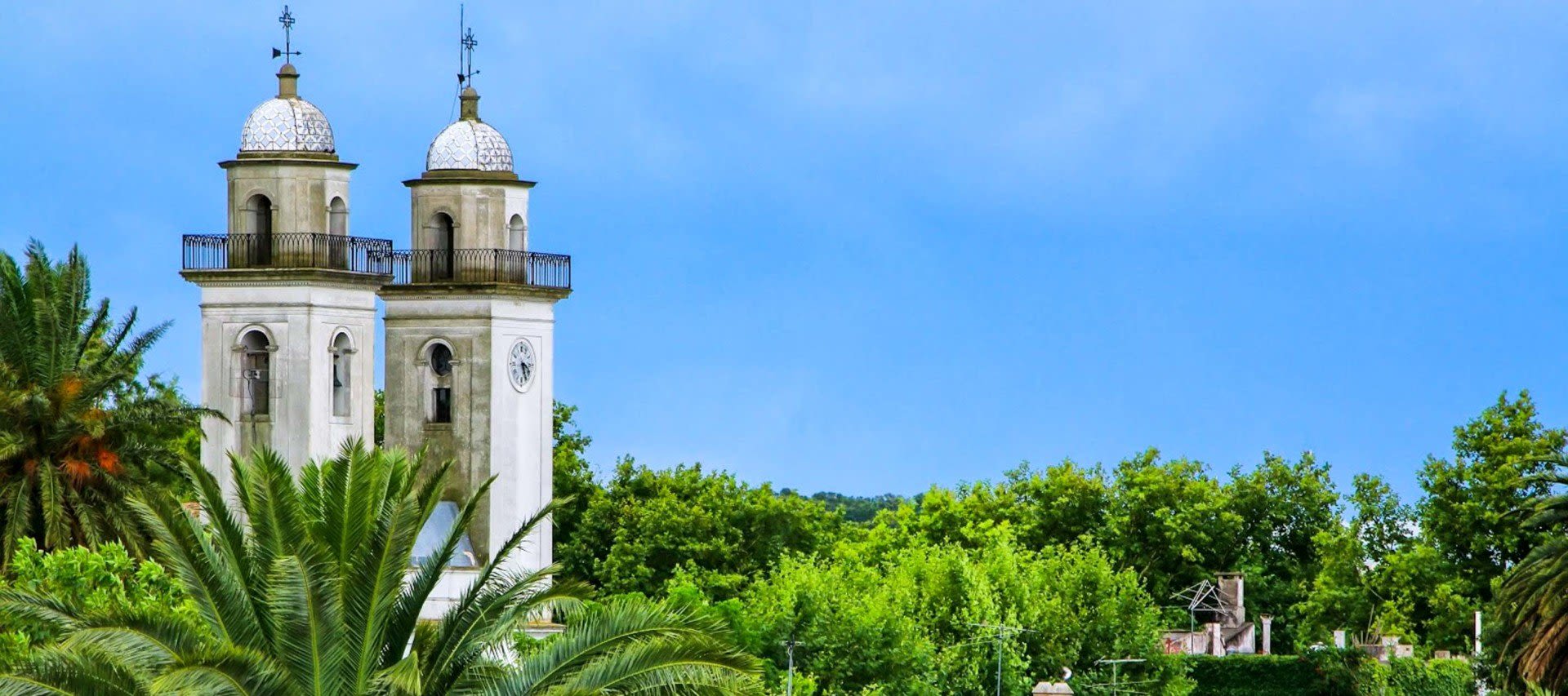 Two white towers with domed roofs rise above lush green trees and palm fronds under a clear blue sky, capturing the charm often seen on Colonia del Sacramento tours in this historic, subtropical destination.