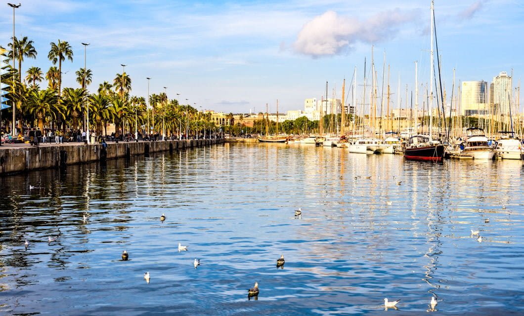A marina in Punta del Este with sailboats docked along the water, lined by palm trees and a promenade with people walking. Birds float on the calm water, and city buildings are visible in the background under a blue Uruguay sky.