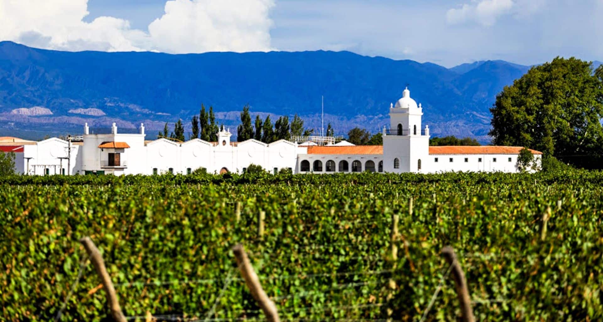 A large white building with towers and arches stands behind a green vineyard, typical of wineries in Chile, with tall trees and mountains in the background under a partly cloudy sky.