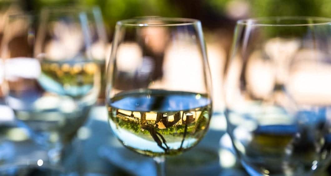Close-up of several wine glasses filled with white wine, reflecting an outdoor scene and greenery—perfect for a sunny, relaxed afternoon on a food and wine tour through Argentina or Chile.