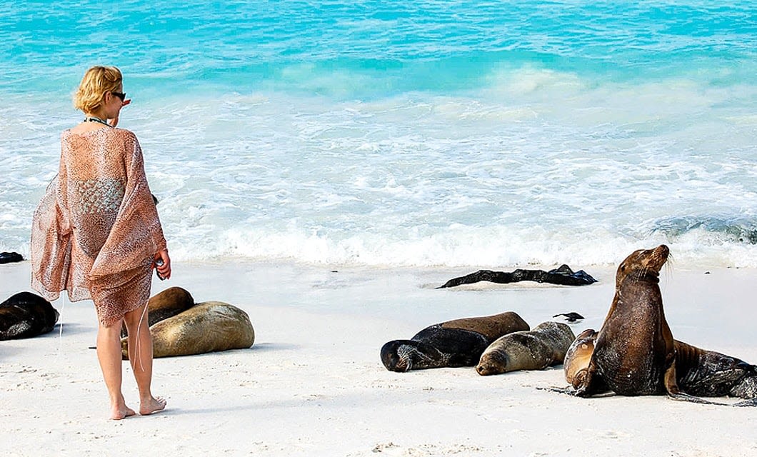 A woman in a beach cover-up stands on white sand near the water’s edge, observing several sea lions resting on the shore—an unforgettable moment during her Galapagos multisport adventure as turquoise waves shimmer in the background.