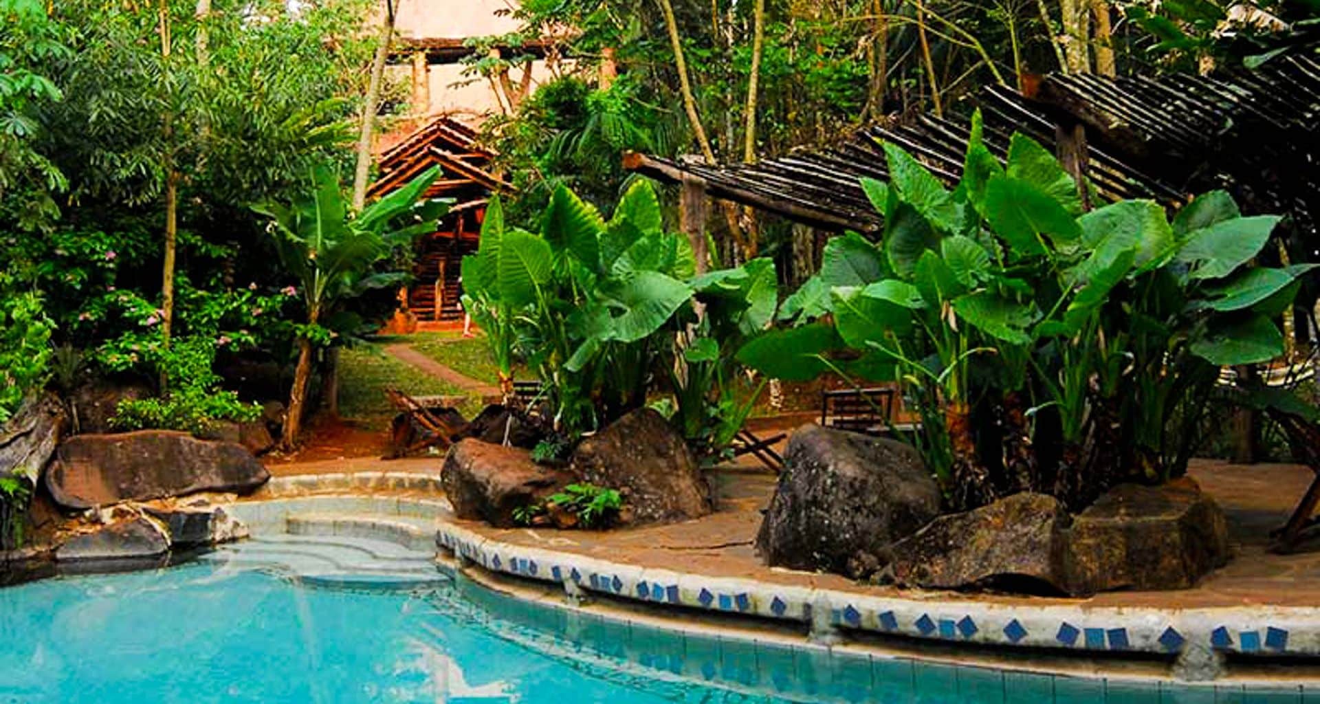 A curved outdoor swimming pool surrounded by large tropical plants, rocks, and wooden pergolas sits at Yacutinga Lodge, an eco lodge in Argentina, with a pathway winding toward a rustic wooden cabin in a lush, green forest setting.
