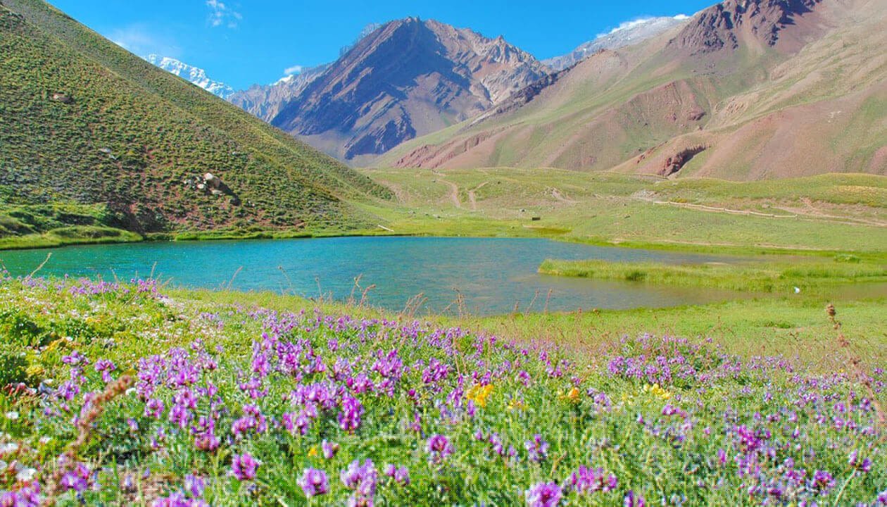 A vibrant meadow with purple wildflowers in the foreground, a clear blue lake in the middle, and Mendoza’s tall, rugged mountains—famous for wineries and things to do—in the background under a bright blue sky.