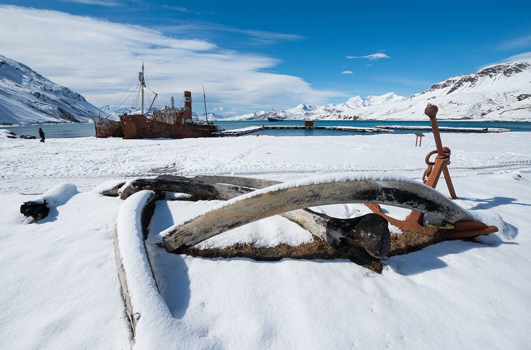 Snow-covered landscape with large whale bones and an anchor in the foreground. In the background, a rusted ship rests near the icy shoreline—one of the unique Antarctica attractions surrounded by mountains and a blue sky.