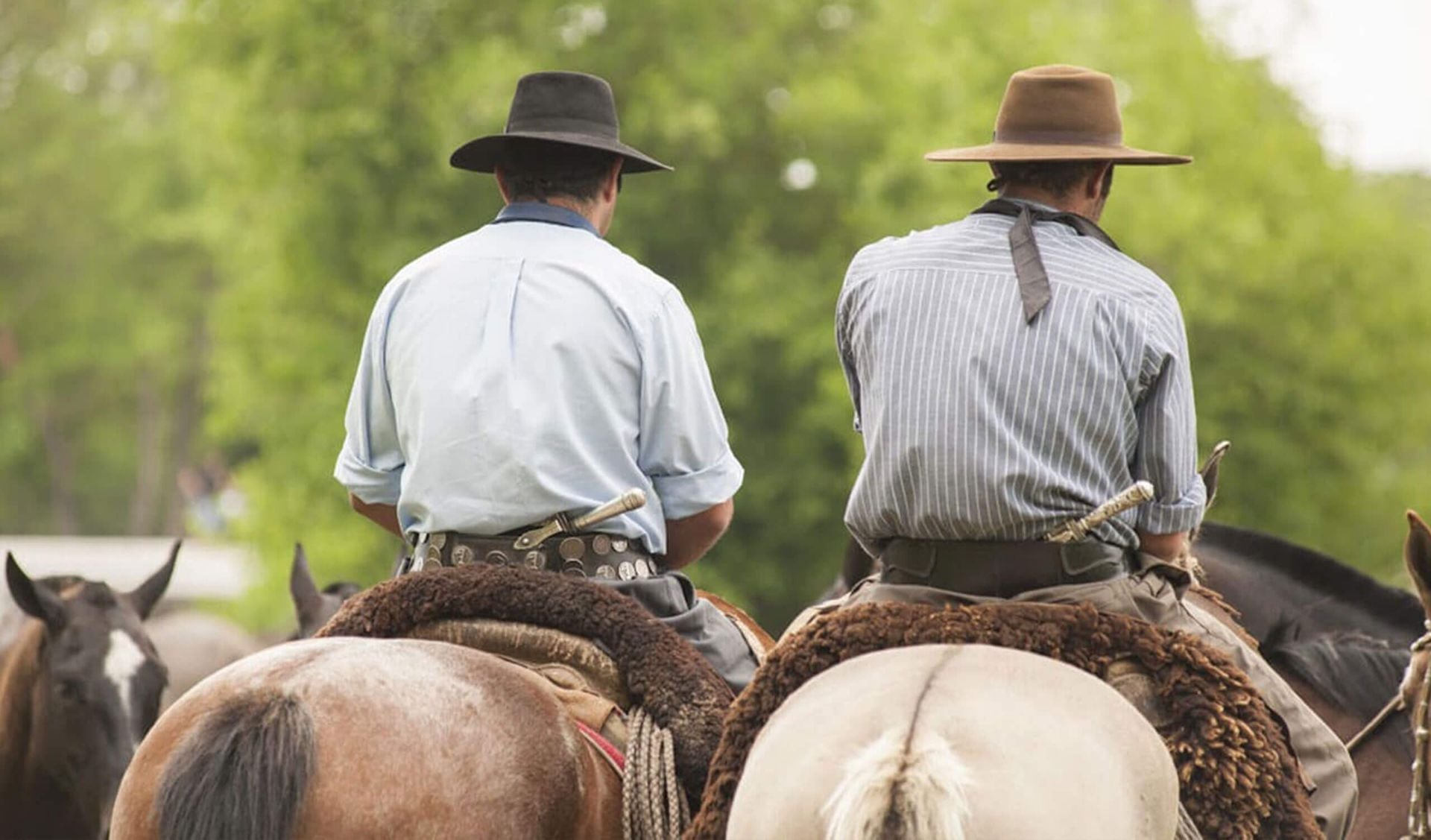 Two men wearing wide-brimmed hats and traditional clothing ride horses side by side, viewed from behind, evoking the timeless spirit of Argentina ranches, with green trees in the background.