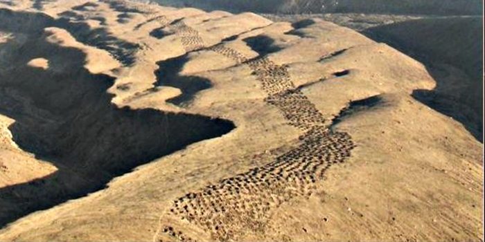 Band-of-Holes