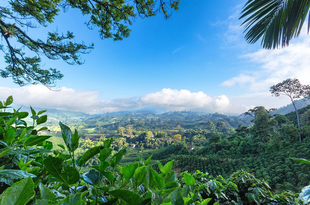 Lush green tropical landscape with dense foliage, rolling hills, and scattered trees under a bright blue sky—perfect for Colombia travel and discovering unforgettable Colombia attractions.