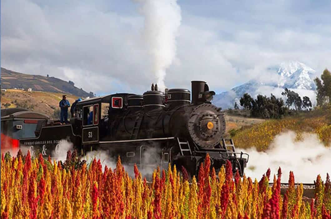 A black steam locomotive travels through a field of colorful tall flowers, with steam billowing out and snow-capped mountains in the background—a scenic journey among top Ecuador attractions under a partly cloudy sky.