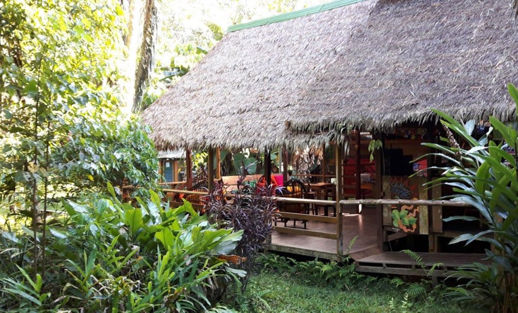 A rustic wooden cabin with a thatched roof is nestled among lush tropical plants and trees at Inotawa Lodge. The porch, with wooden railings and furniture, creates a cozy outdoor space in the heart of Tambopata’s jungle.