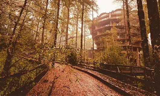 A wooden walkway winds through a dense, misty forest in the Huilo-Huilo Reserve, leading to a large, multi-story, circular building partially hidden among tall trees under warm, soft sunlight.