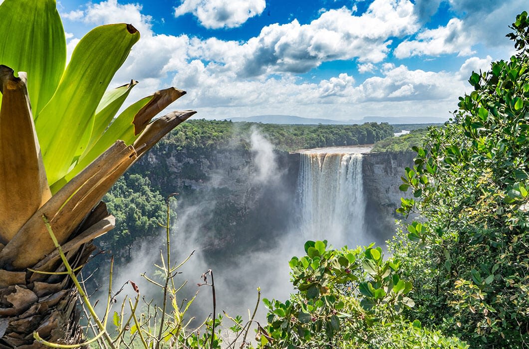 A large waterfall cascades over a lush, green cliff surrounded by dense foliage in French Guiana, with mist rising into the air under a partly cloudy blue sky. A broad-leafed plant is in the foreground on the left.