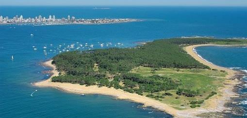 things-to-do-in-Punta-del-Este