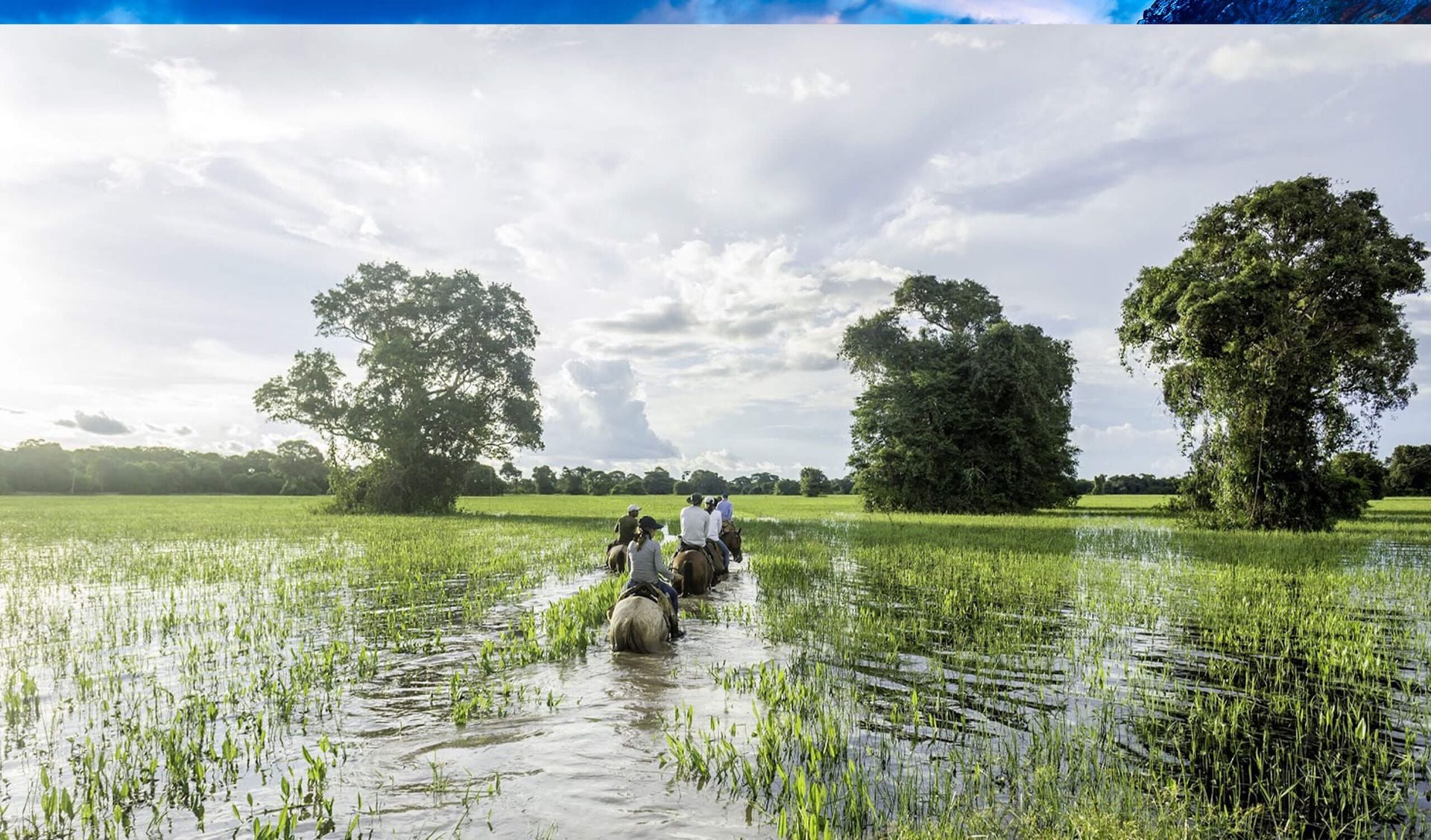 People riding horses through a flooded grassy field, surrounded by tall green trees under a cloudy sky—a serene, adventurous scene that highlights unique Paraguay activities and unforgettable things to do in Paraguay.