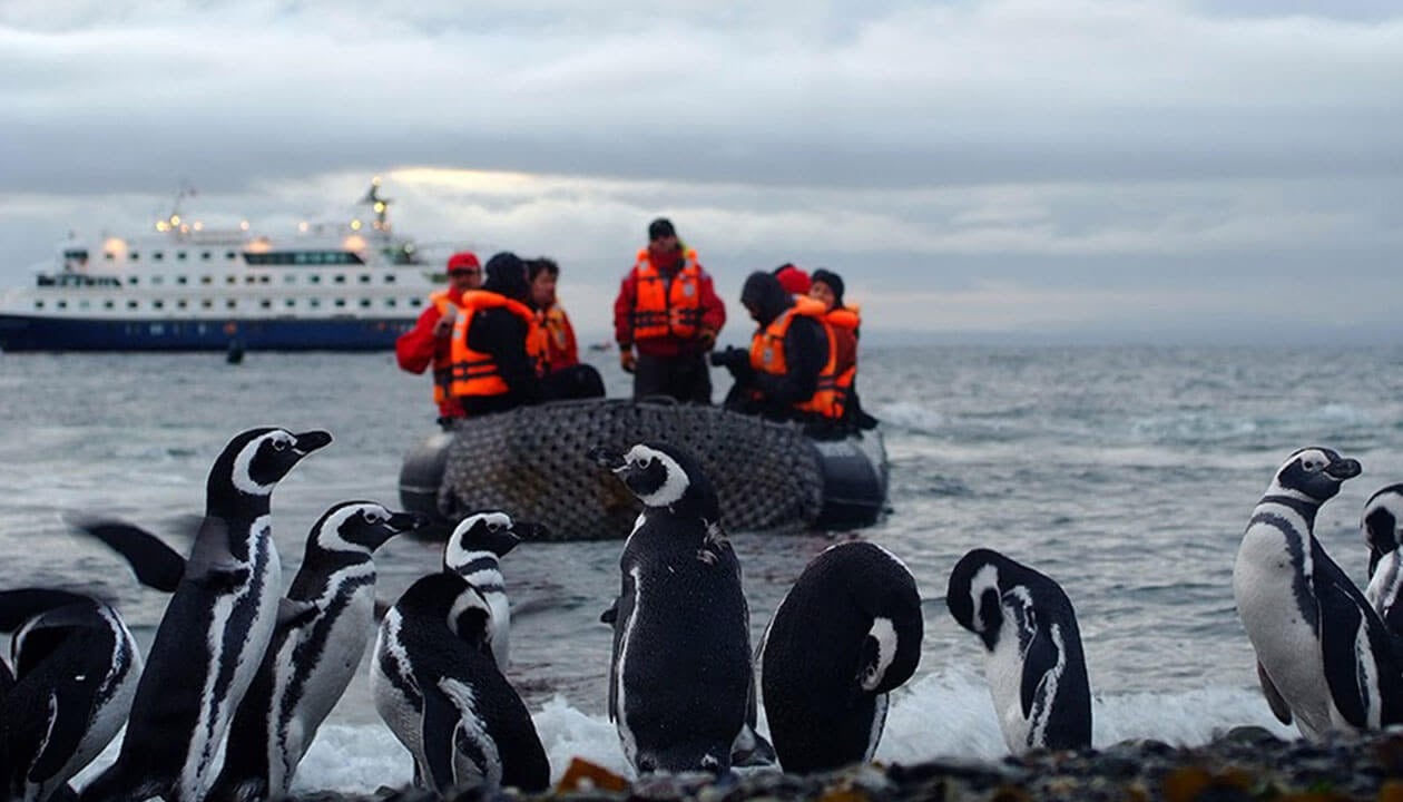 A group of penguins stands on a rocky South American shore while people in orange life jackets sit in a rubber boat on the water, with a large ship in the background under a cloudy sky.