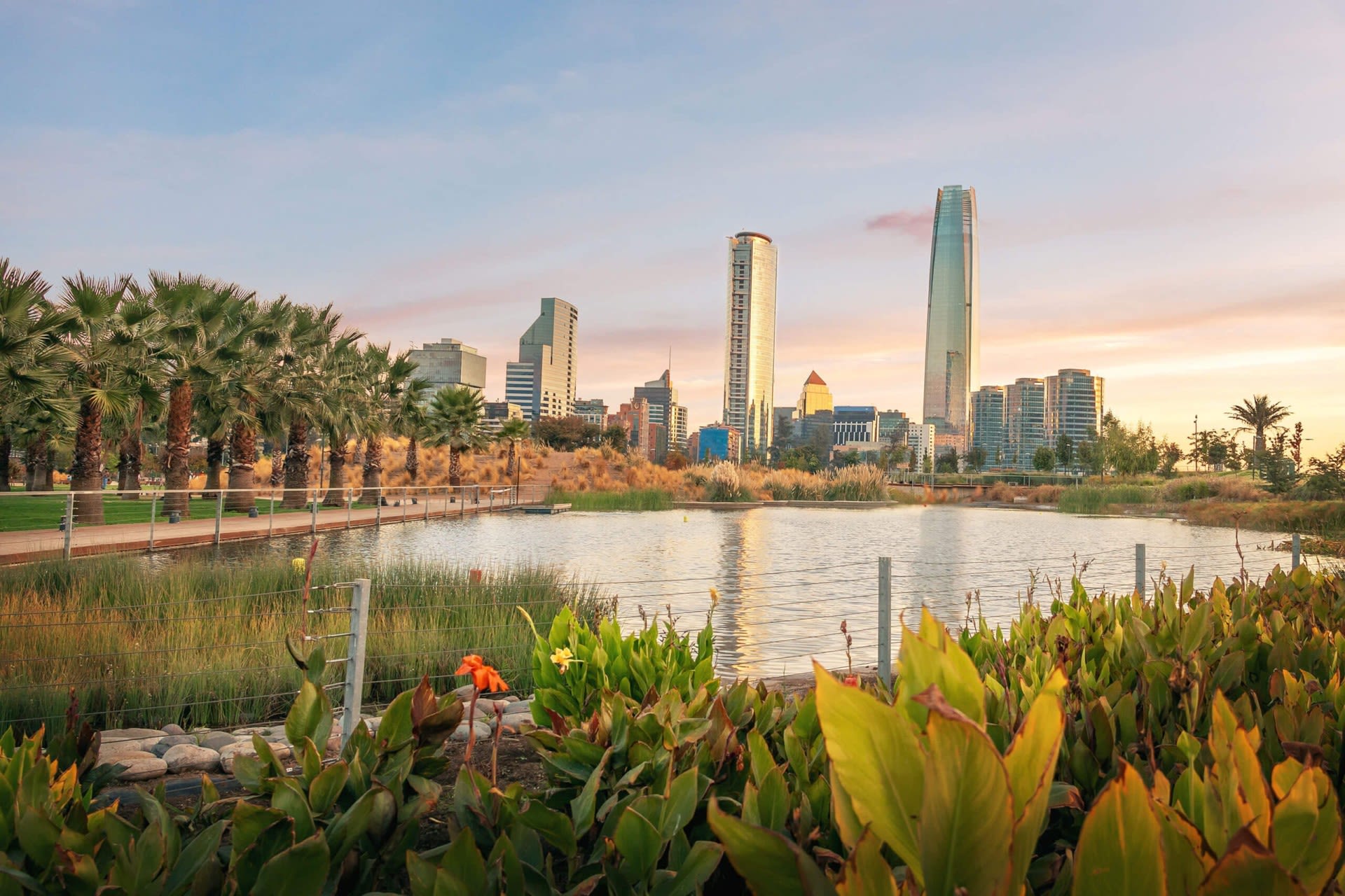 A city skyline with modern tall buildings behind a park of palm trees, lush green plants, and a large pond under a colorful sunset sky—a perfect scene for South America travel and discovering the best winter destinations.