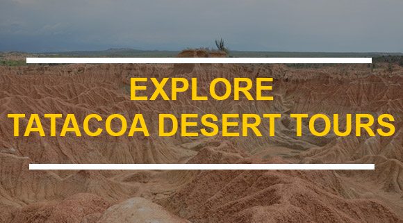 TATACOA-DESERT-TOURS-CUSTOM-FORM