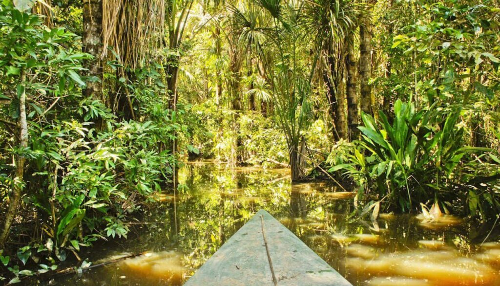 A canoe glides through a narrow waterway in the Amazon Rainforest, surrounded by dense tropical foliage—one of the truly unforgettable Amazon Rainforest highlights, with sunlight filtering through towering trees.