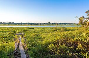 A wooden footpath leads through tall green grass toward a calm river under a clear blue sky in Peru, with trees lining the distant Amazon riverbank.