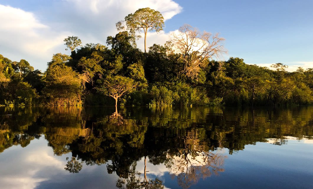 A dense Amazon rainforest with tall trees is reflected in calm, clear water under a blue sky with scattered clouds, creating a mirror-like effect near the Juma Amazon Lodge.