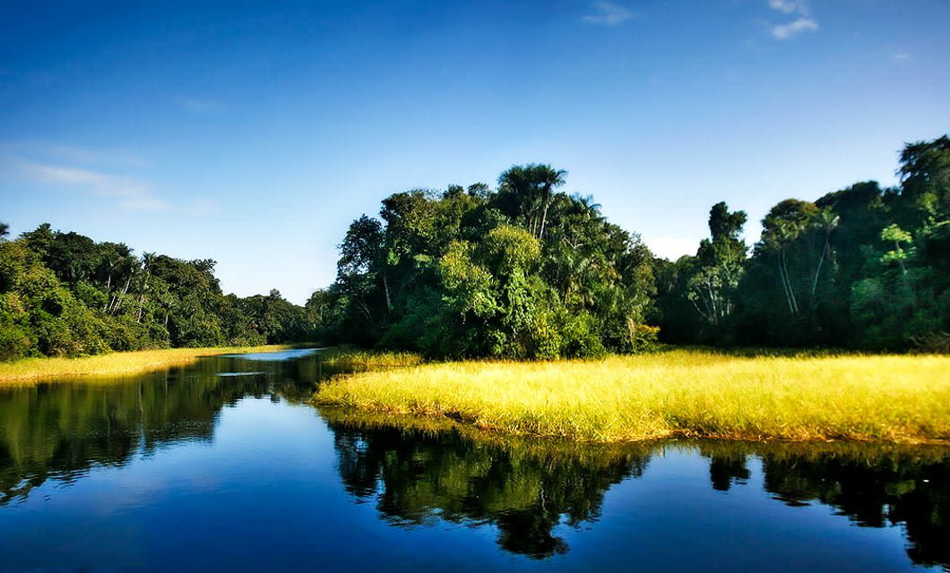 A calm river flows between banks with dense green trees and tall yellow grass, reflecting the vibrant blue sky and clouds. This peaceful scene, surrounded by lush vegetation, captures the serenity of the Amazon rainforest near Mirante do Gavião.
