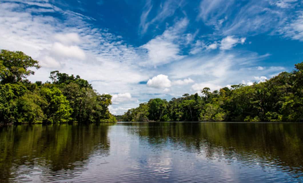 A wide river bordered by lush green trees in the heart of the Amazon rainforest flows under a vibrant blue sky with scattered white clouds, reflecting on the calm water’s surface.