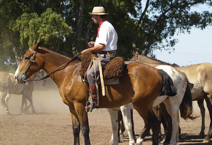 A man wearing traditional clothing and a hat sits on a brown horse, holding the reins. Other horses stand nearby on a dusty, open field with trees—capturing the spirit of Argentina travel and classic attractions.