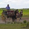 A person wearing a hat drives a horse-drawn carriage with two brown horses along a dirt road, enjoying the best countryside views surrounded by green fields under a partly cloudy sky.