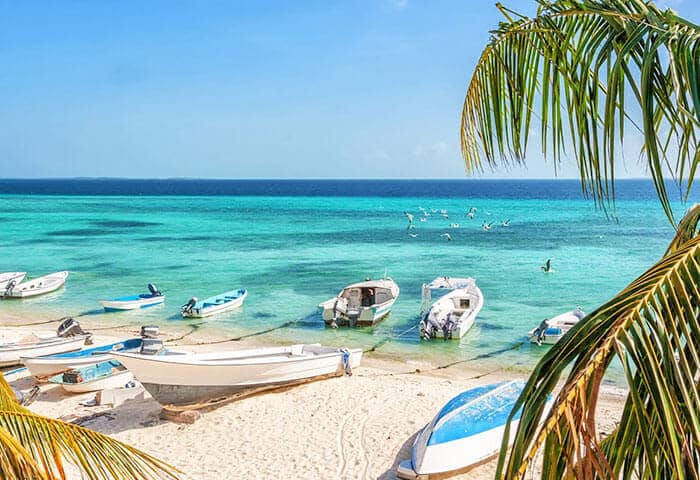 Small boats rest on a white sandy beach with clear turquoise water under a bright blue sky. Palm fronds frame the scene, and seabirds fly above the calm, inviting sea—one of the top things to do in Venezuela for nature lovers.
