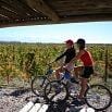Two people ride bicycles side by side on a gravel path through a vineyard under a wooden shelter on a sunny day, enjoying one of the best tours in the region.