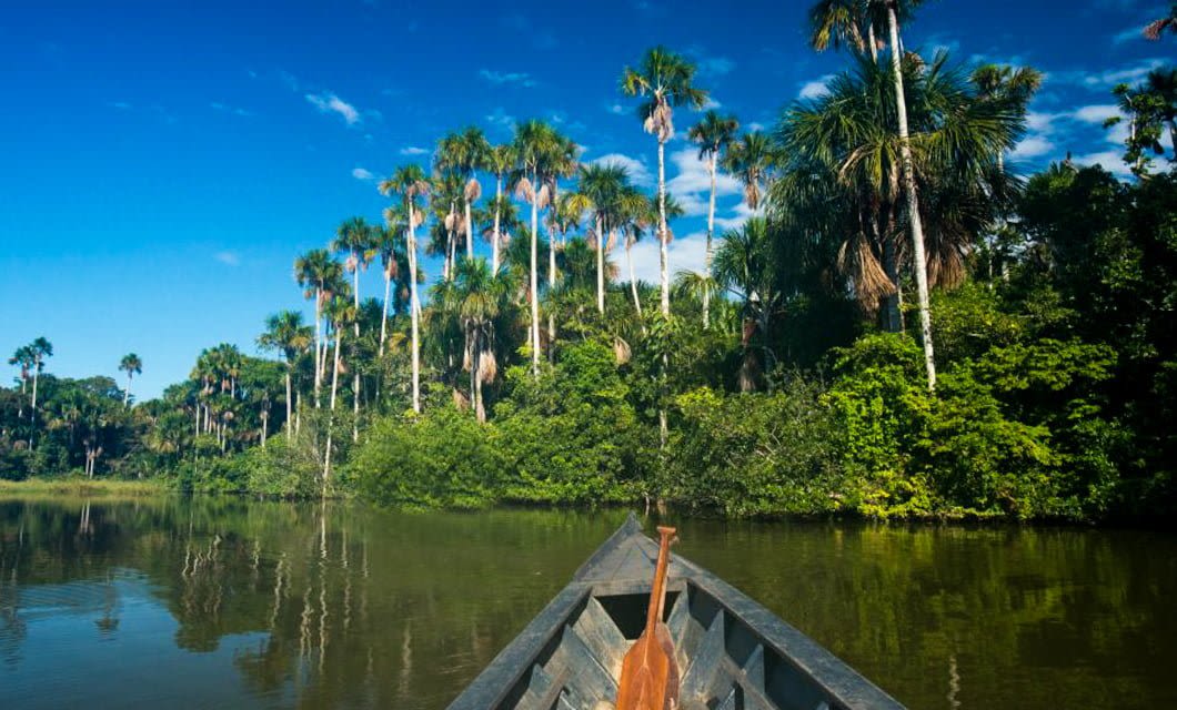 A wooden canoe glides through calm, reflective water in the Amazon, surrounded by dense green vegetation and tall palm trees beneath a bright blue sky near Inkaterra Reserva Amazonica Jungle Lodge.