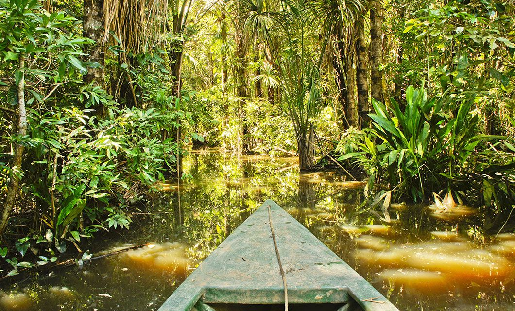 The pointed bow of a canoe glides through a narrow, sunlit waterway near Tambopata, surrounded by dense jungle and towering trees—an unforgettable journey to Inotawa Lodge in the heart of the Amazon.